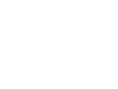 南孚电池